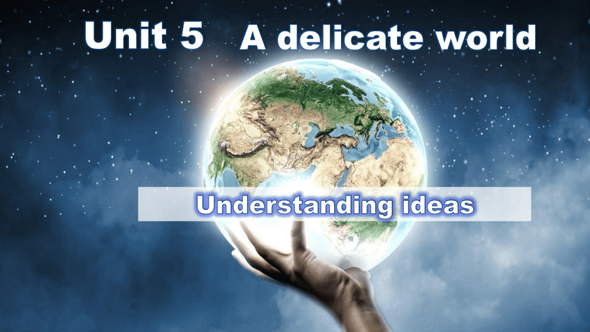 外研版（2019）  选择性必修第二册  Unit 5 A delicate World  Understanding ideas课件(共16张PPT)