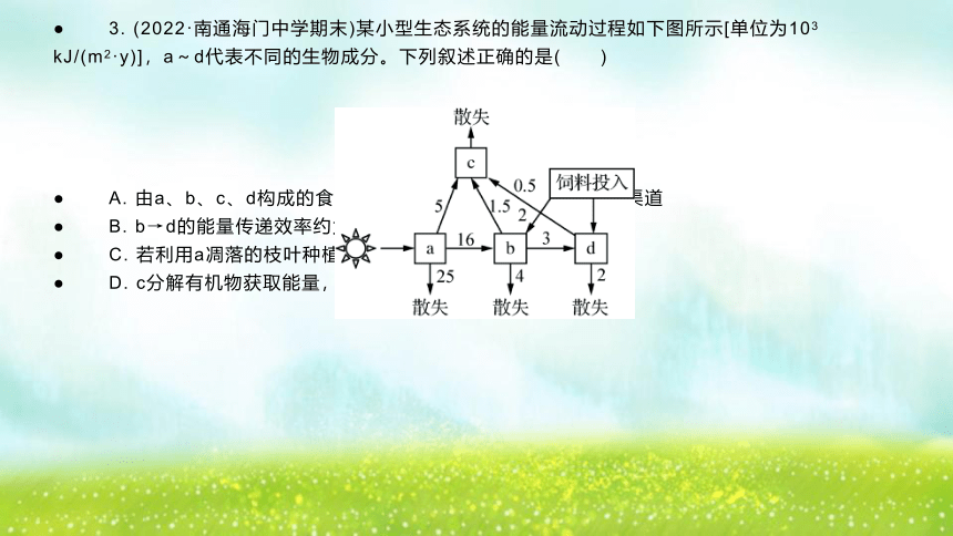 【二轮专题课件】专题6 生物与环境 第2讲 生态系统与环境保护(共65张PPT)