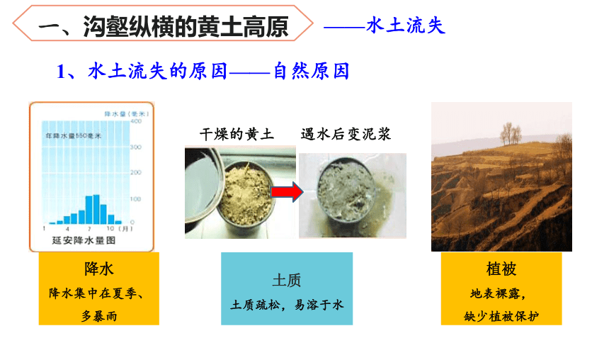 7.5《黄土高原》课件2020-2021学年初中地理中图版七年级下册（共27张PPT）