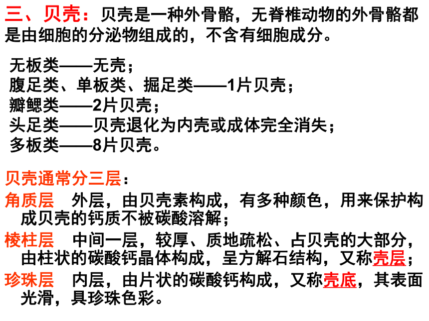 高中生物竞赛动物学教学课件第十章 真体腔不分节动物 -软体动物门（127张）