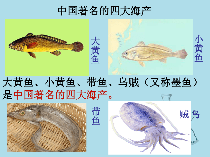 八年级上册3.4中国的海洋资源课件湘教版课件（50张PPT）