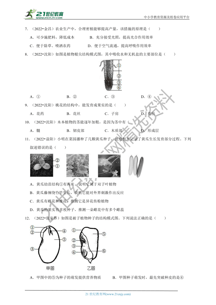 【备考2023】2022年中考生物真题分类汇编3——生物圈中的绿色植物部分（含解析）