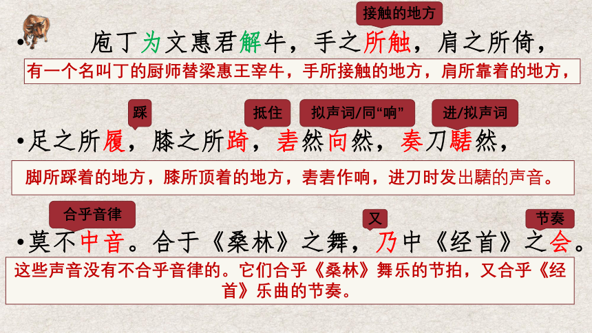 1.3《庖丁解牛》课件（共44张PPT） 统编版高中语文必修下册