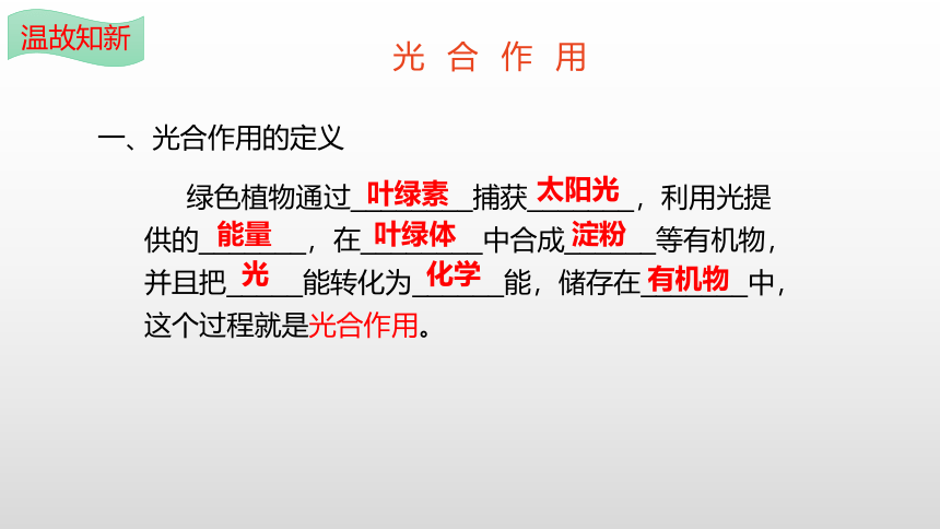 2022-2023学年七年级生物上学期3.5.1 光合作用吸收二氧化碳释放氧气-同步优质课件(共22张PPT)