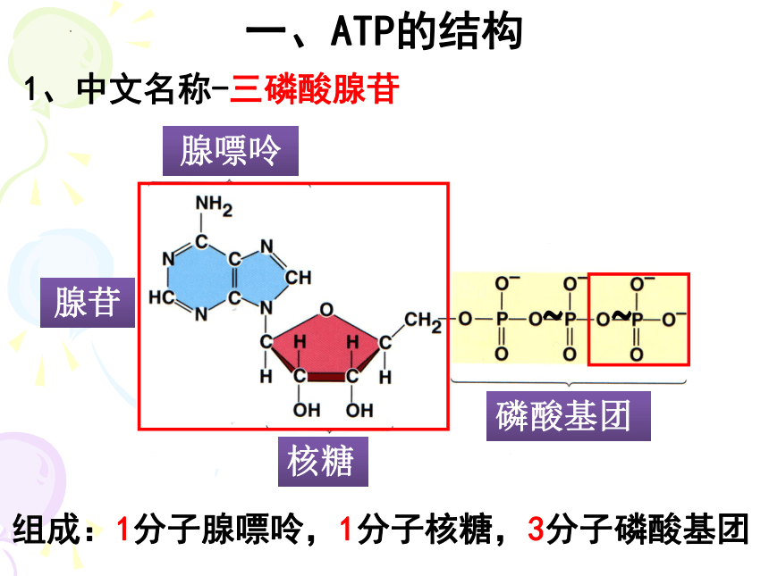 5.2 细胞的能量通货—ATP   课件 2022——2023学年高一上学期生物人教版必修1(共27张PPT)