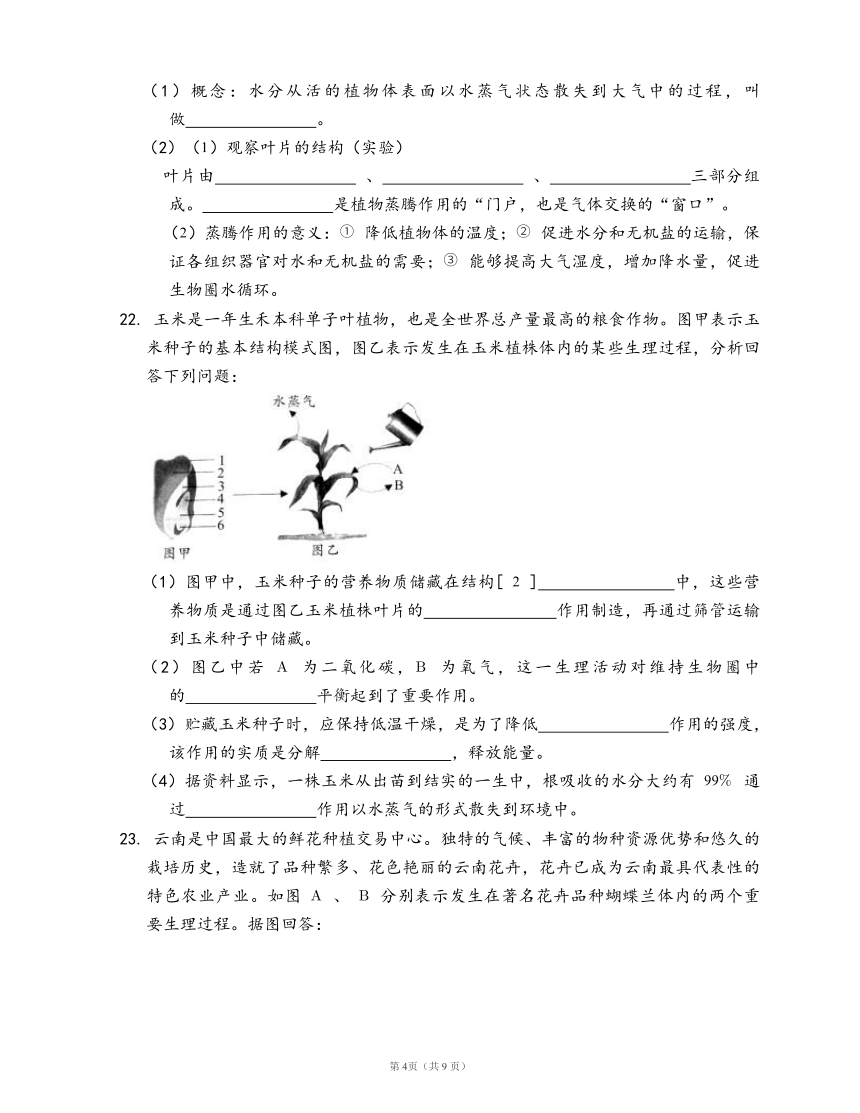 北师大版七年级生物上册单元检测卷第3单元第7章 绿色植物与生物圈(word版，含答案解析）