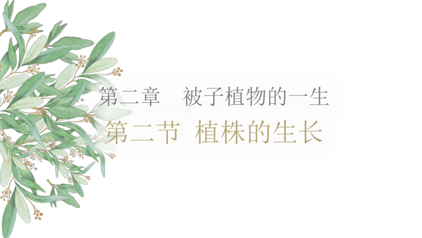 生物人教版七年级上册复习课件（三）(共32张PPT)（全册共3节复习课件）