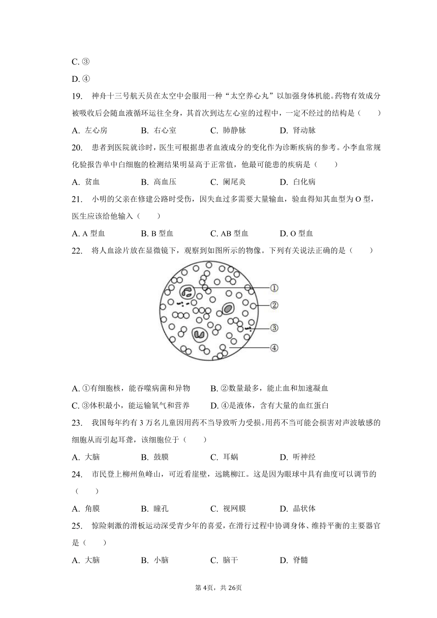 2022-2023学年广西南宁市兴宁区天桃实验学校八年级（上）开学生物试卷（含解析）