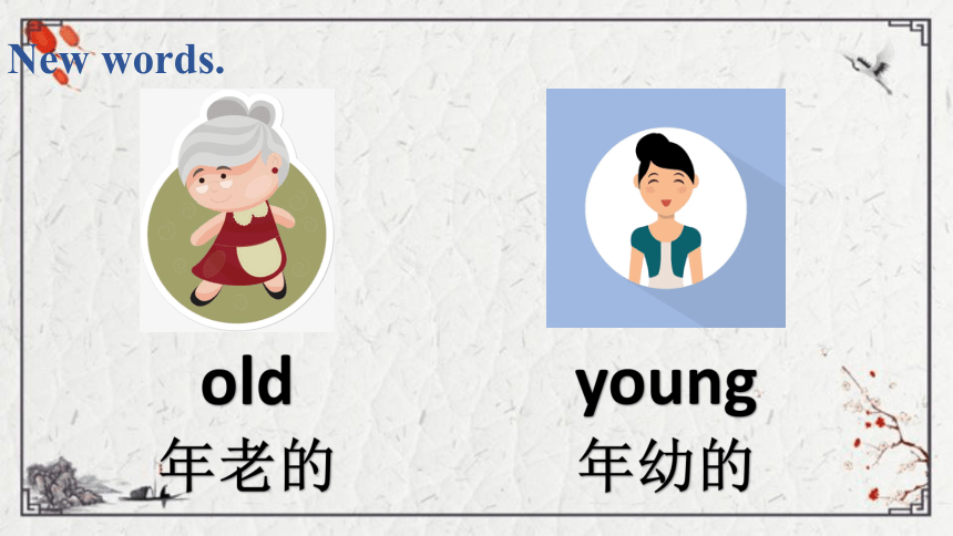 Unit 4 Age and Phone Numbers Part A课件（15张PPT)