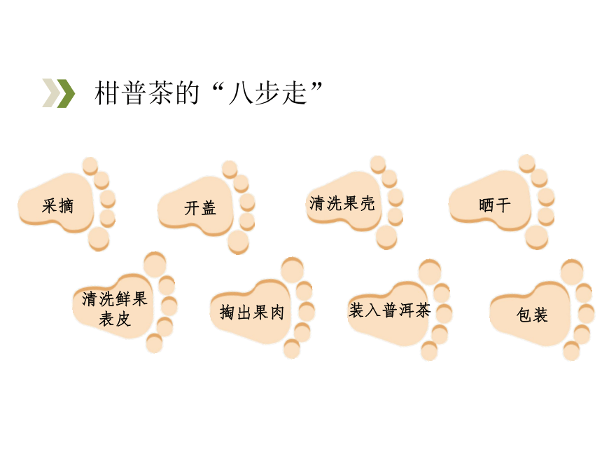 2022广东江门粤教版综合实践课六年级上册 第一课 茶艺柑普茶制作教学 课件 (23张PPT)