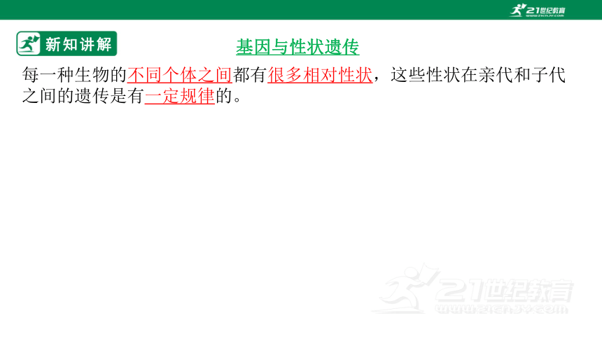 济南版4.4.2 性状的遗传-2022-2023学年八年级生物上册同步课件(共28张PPT)