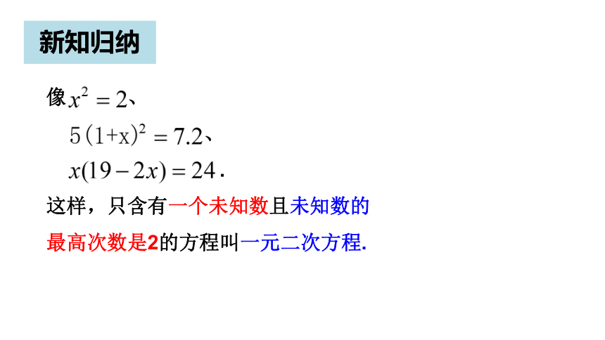 苏科版数学九年级上册1.1一元二次方程课件(共21张PPT)