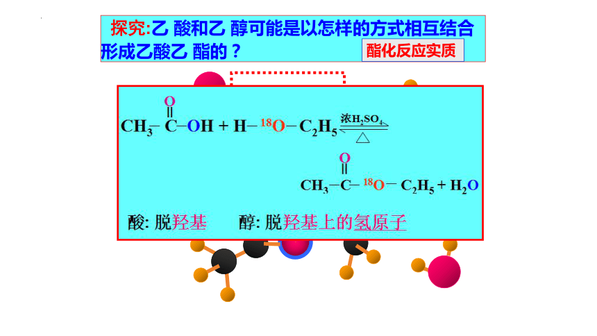 化学人教版（2019）必修第二册7.3.3官能团与有机物的分类（共24张ppt）