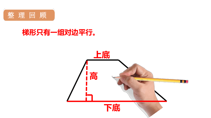 人教版数学四年级上册5平行四边形和梯形 练习课 课件（19张PPT)