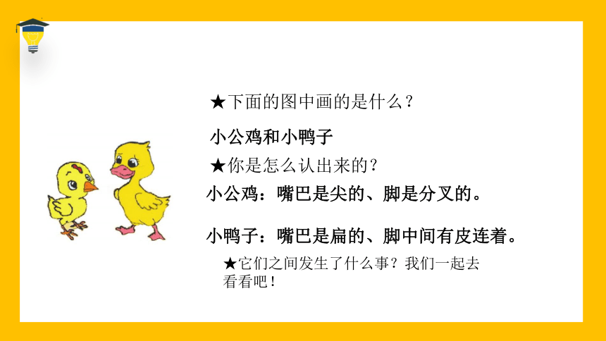 4 小公鸡和小鸭子 课件(共39张PPT)