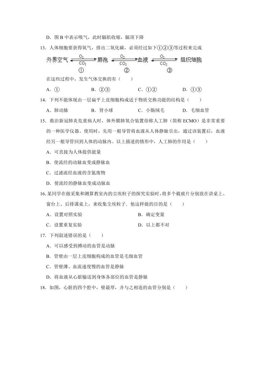 2020-2021学年山东省淄博市沂源县七年级（上）期末生物试卷（五四学制）     解析版