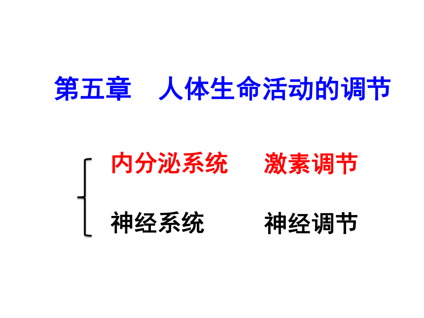 济南版七年级下册生物 5.1人体的激素调节 课件（41张PPT）