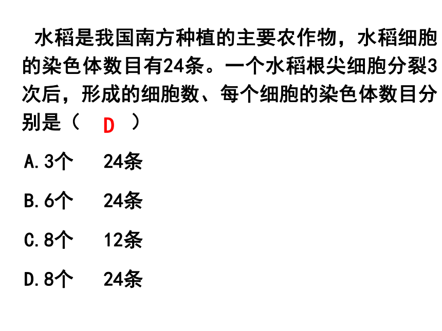 2021-2022学年人教版七年级生物上册第二单元第二章细胞怎样构成生物体复习课件(共46张PPT)