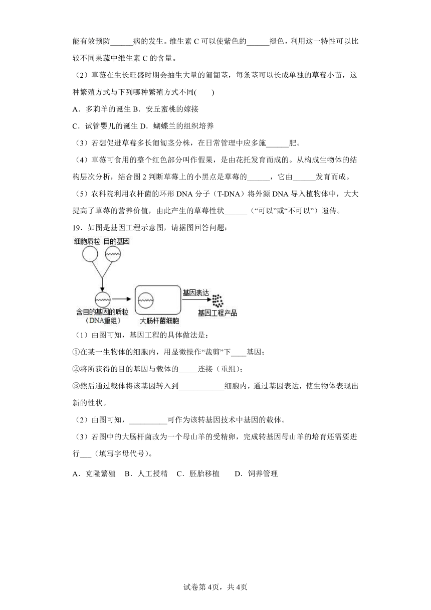 人教版八年级下册7.2.1基因控制生物的性状同步练习（word版，含解析）