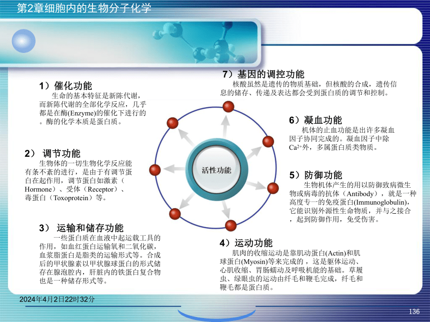 2.4蛋白质化学 课件(共65张PPT)- 《环境生物化学》同步教学（机工版·2020）