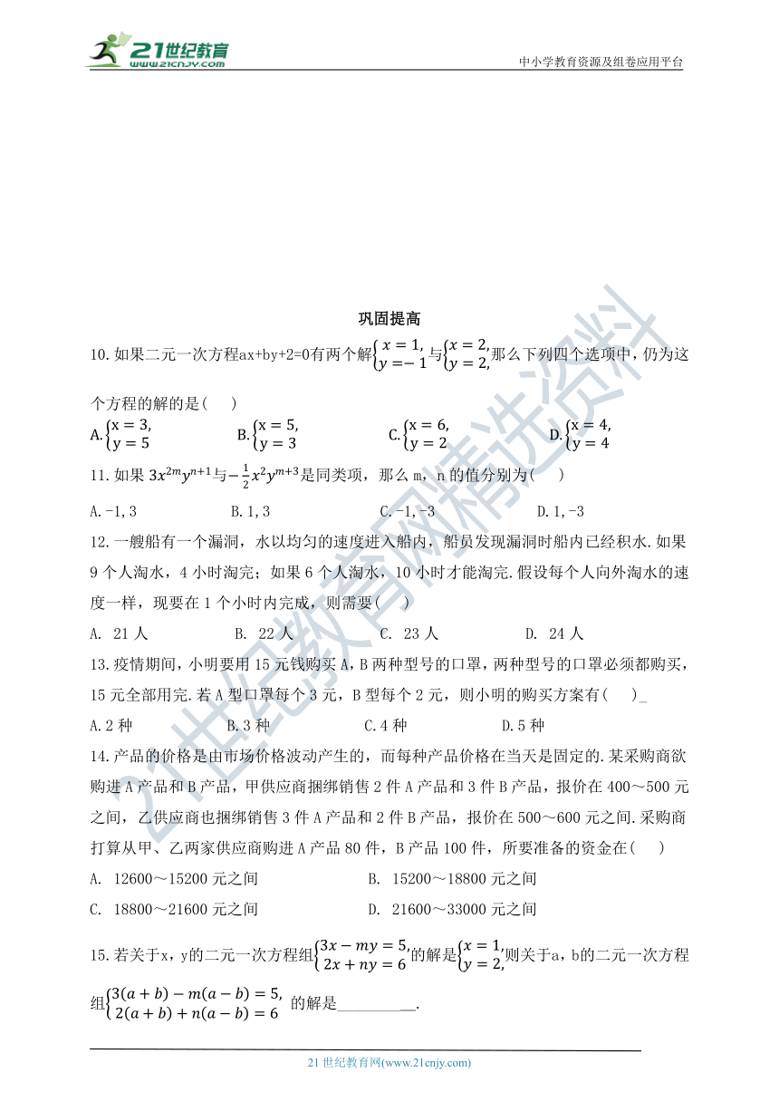 鲁教版七年级下册专项训练 二元一次方程组（含答案）