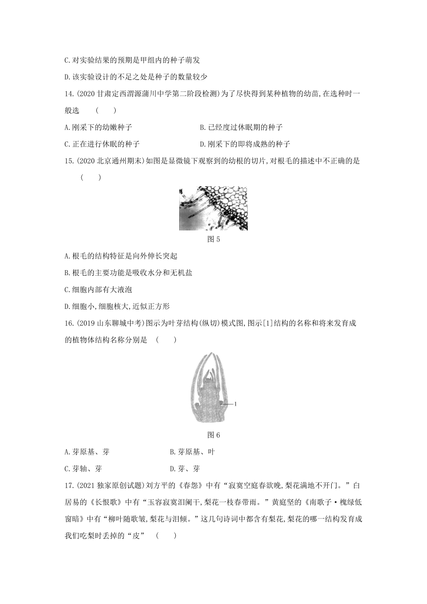 第三单元 第一章生物圈中有哪些绿色植物&第二章被子植物的一生练习(word版含解析）