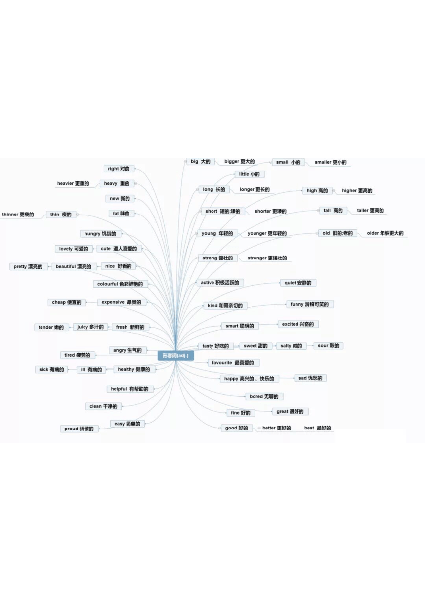 通用 [词汇分类]小升初词汇思维导图 图片版