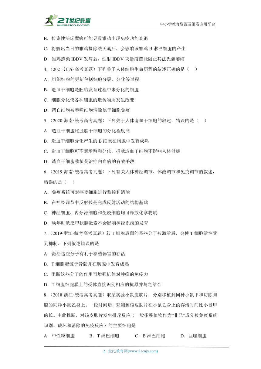 五年2018-2022高考生物真题按知识点分类汇编64-免疫调节-免疫系统的组成和功能（含解析）