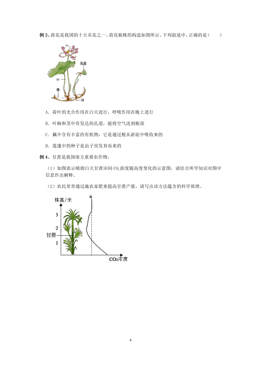 【备考2023】浙教版科学中考第一轮复习--生物模块（五）：植物的光合作用和呼吸作用【word，含答案】