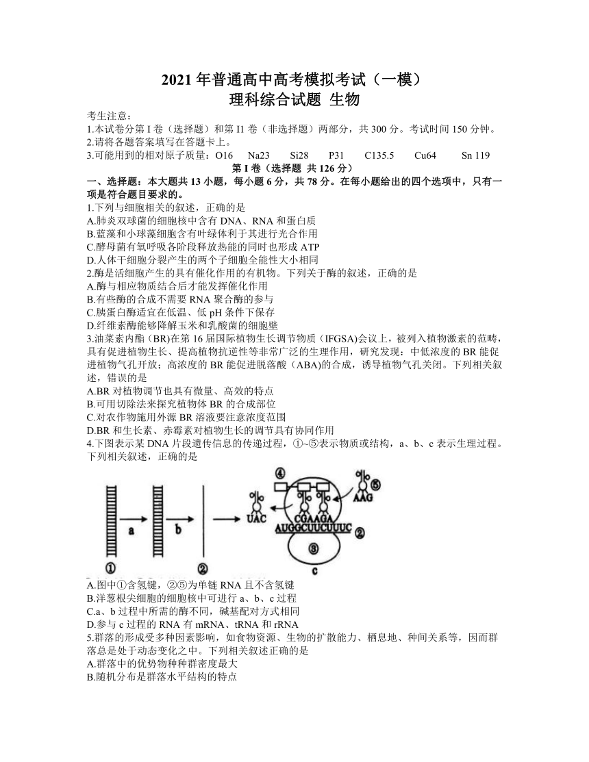 安徽省安庆市2021届高三下学期高考模拟考试（一模）理综生物试题     含答案