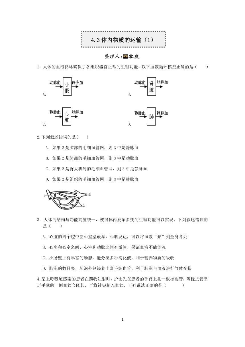 浙教版科学2022-2023学年上学期九年级“一课一练”：4.3体内物质的运输（1）【word，含解析】