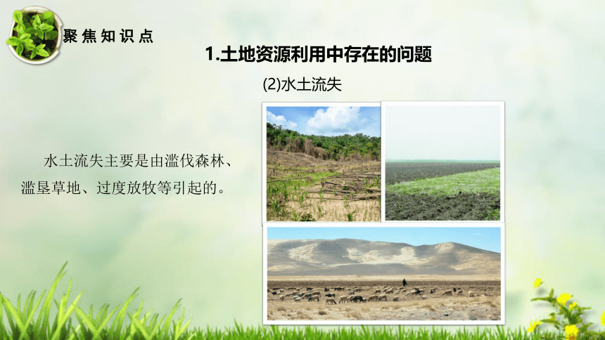 初中地理八上知识点课件 125 合理利用每一寸土地-中国的自然资源