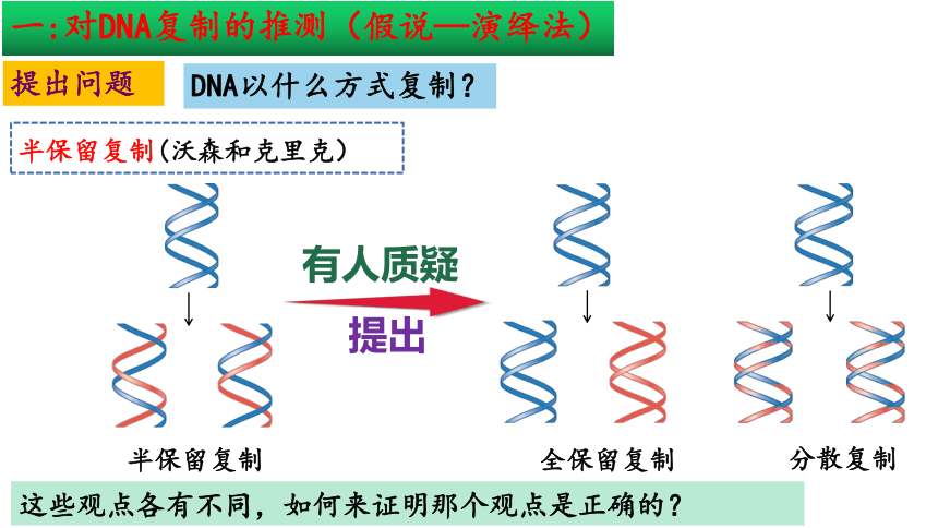 3.3  DNA的复制课件(共33张PPT2份视频)-人教版必修2