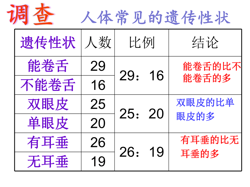 苏教版八年级下册生物 22.2人的性状和遗传 课件（21张PPT）