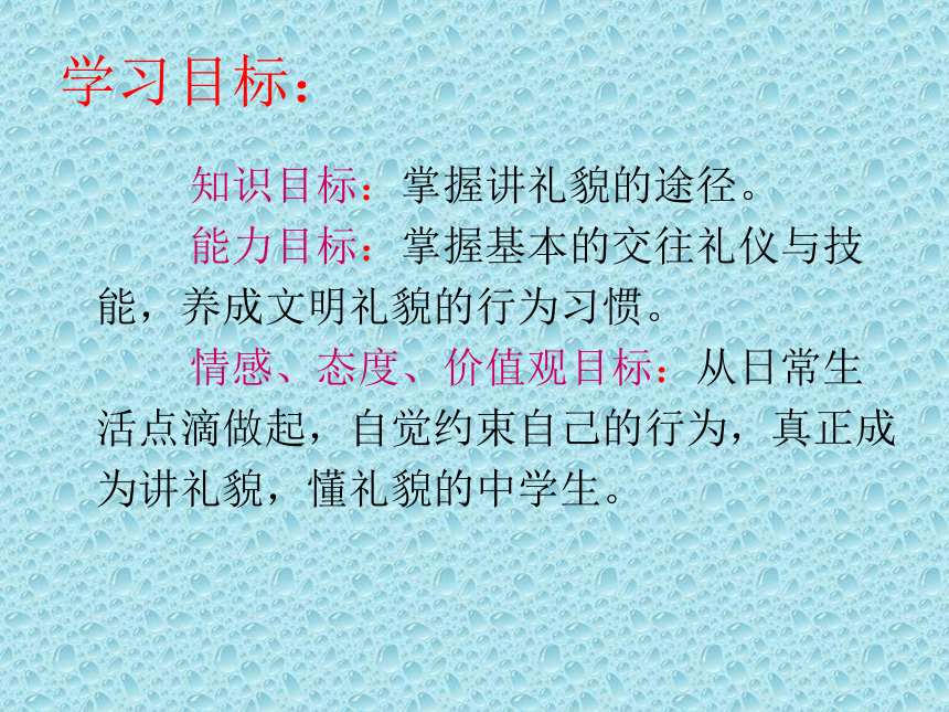 北师大版 二年级上册心理健康课件-第十课学会彬彬有礼  如何讲礼貌   （共13张PPT）