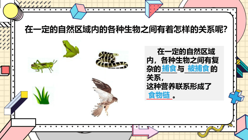 17.1 动物在生物圈中的作用课件(共21张PPT)2021--2022学年北师大版生物八年级上册