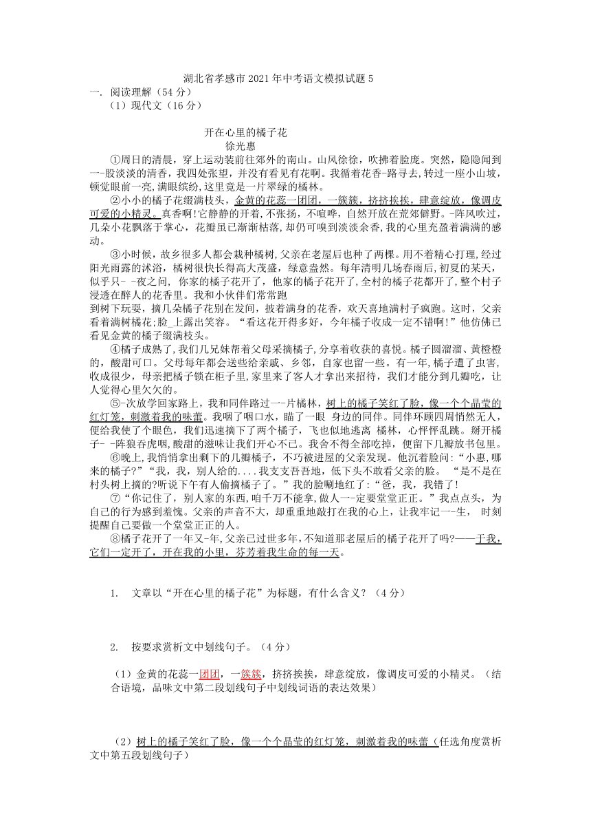 湖北省孝感市2021年中考语文模拟试题5（含答案）