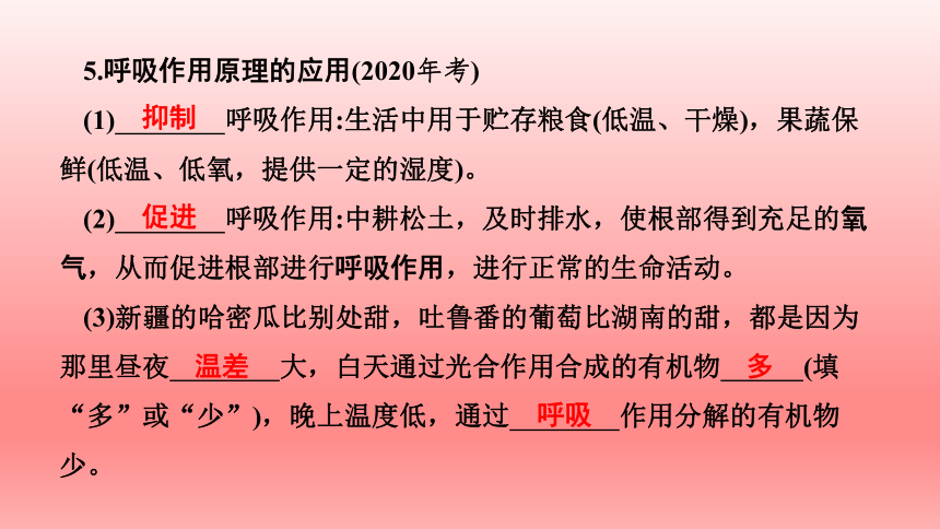 2023年中考生物复习专题课件1(共51张PPT)★绿色植物与生物圈中的碳—氧平衡　爱护植被，绿化祖国