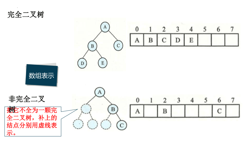4.2二叉树的基本操作　课件浙教版（2019）高中信息技术选修1(共19张PPT)