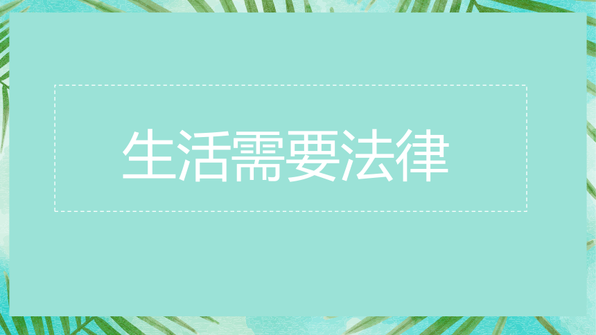 9.1 生活需要法律 课件(共22张PPT)-2023-2024学年统编版道德与法治七年级下册