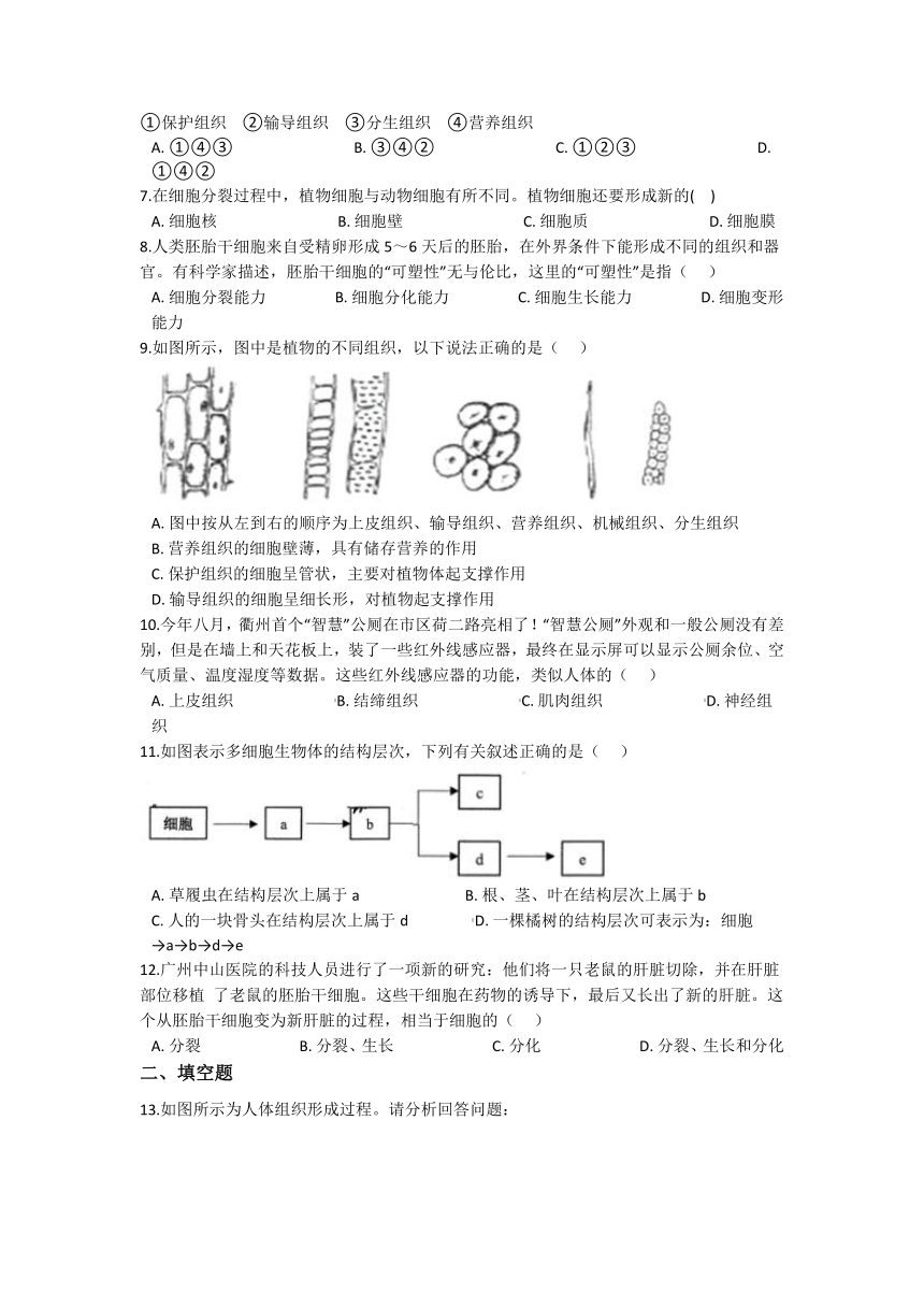 2.3生物体的结构层次同步练习（含答案解析）