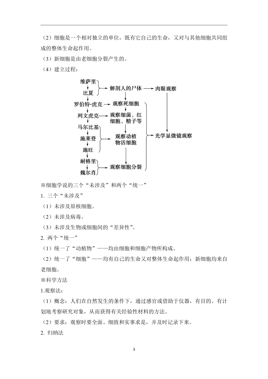 第1章 走近细胞（2）细胞学说学案—2023-2024学年初升高生物学人教版（2019）精准链接