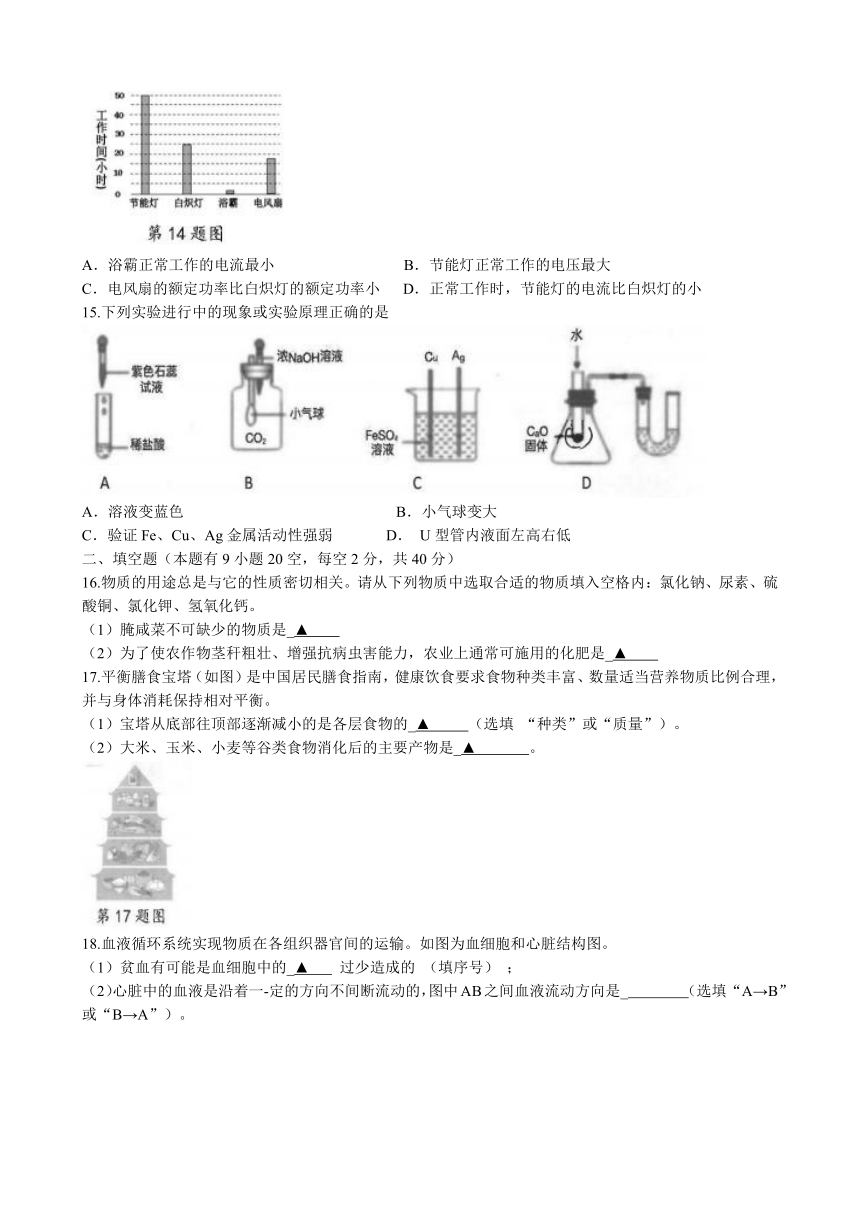 浙江省衢州市衢江区2021-2022学年第一学期九年级科学期末试题（word版，无答案）