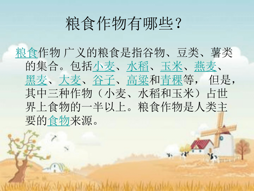 四年级下册综合实践活动课件- 来之不易的粮食｜教科版(共60张PPT)