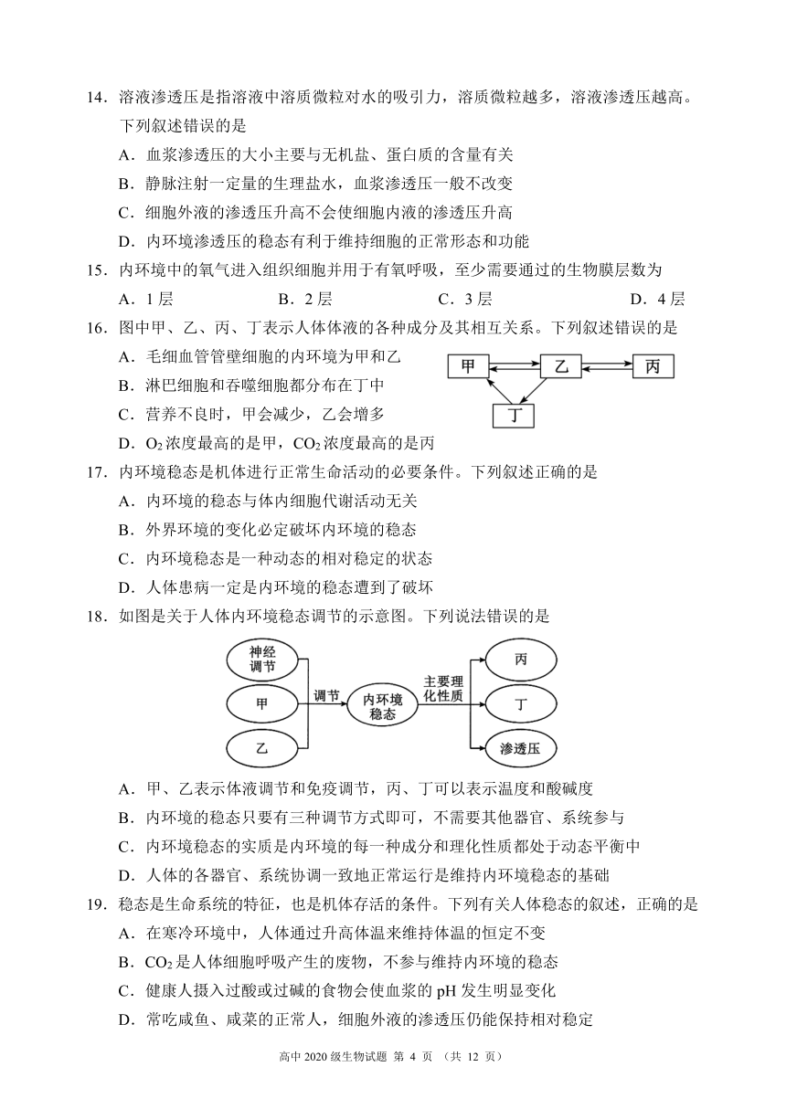 四川省蓉城名校联盟2021-2022学年高二上学期期中联考生物试题（PDF版含解析）