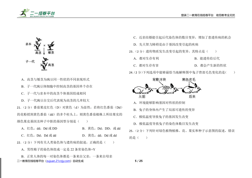 2022年初中生物济南版八年级上册期末测书卷（二）（含解析）