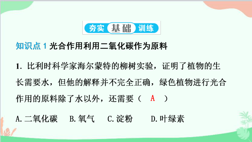 人教版生物七年级上册 3.5.1 光合作用吸收二氧化碳释放氧气 课件 (共28张PPT)