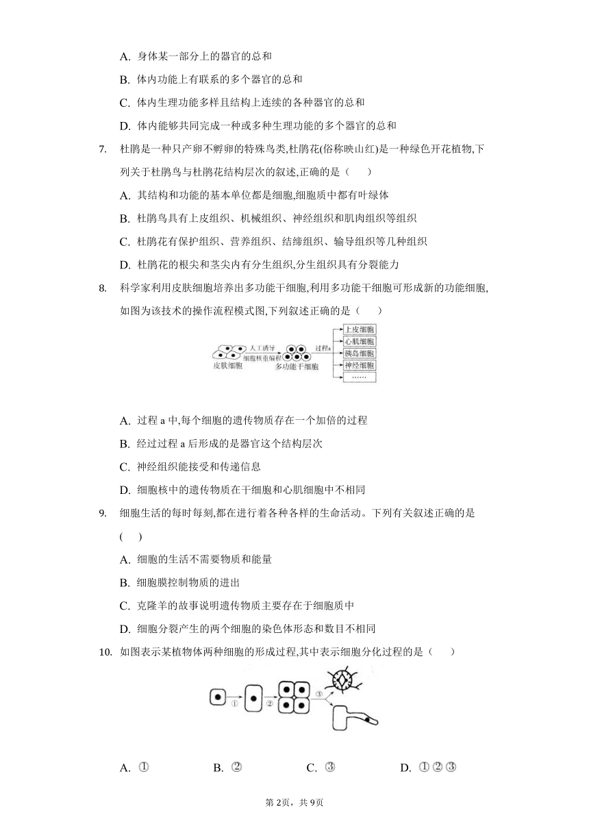 2022-2023学年人教版生物七年级上册同步练习 2.2细胞怎样构成生物体(word版含答案）