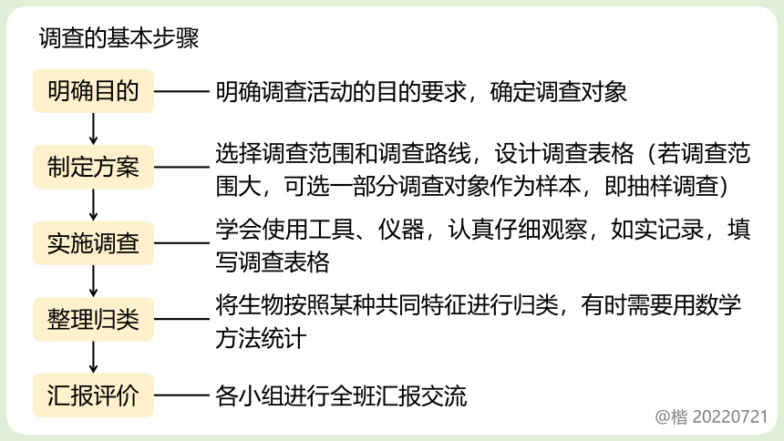 1.1.2调查周边环境中的生物 课件(共20张PPT)2022-2023学年人教版生物七年级上册