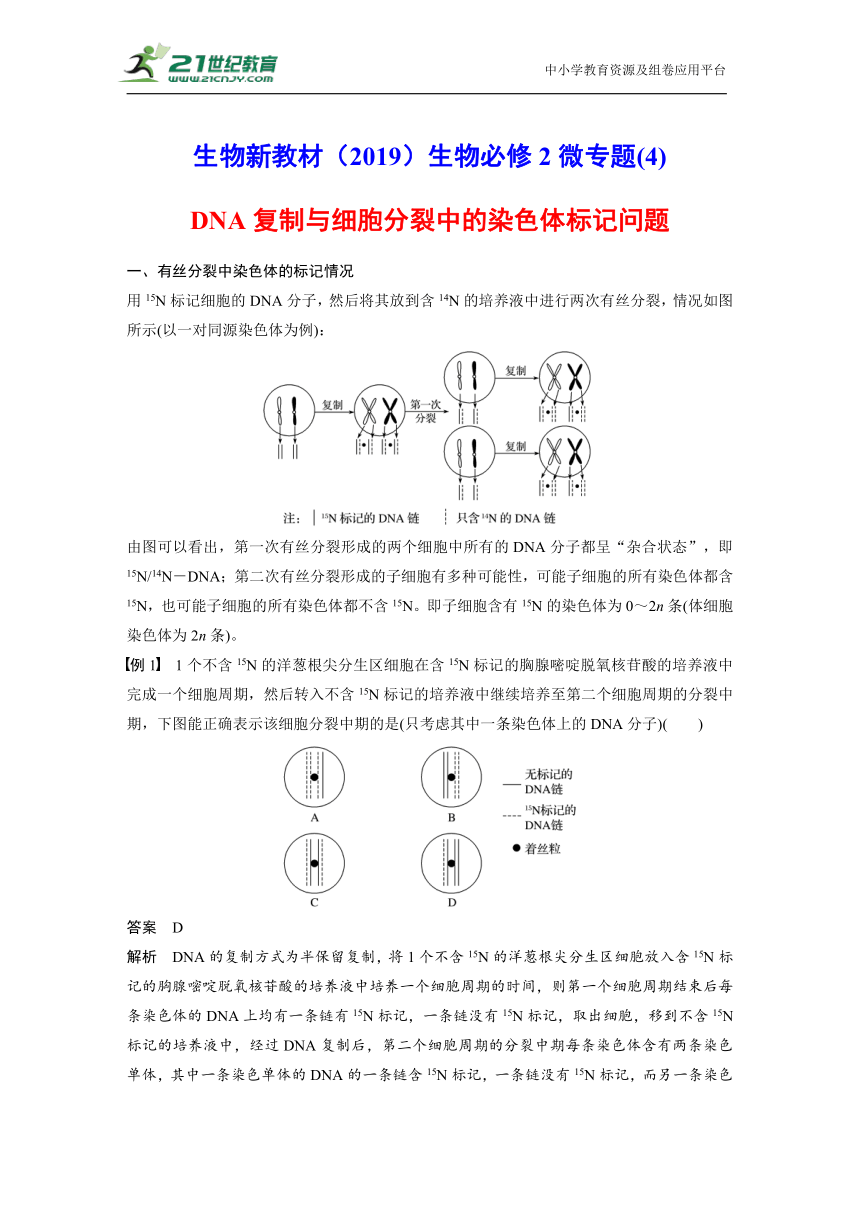 生物新教材（2019）生物必修2微专题(4)第3章　基因的本质 微专题—DNA复制与细胞分裂中的染色体标记问题学案（Word版含答案）